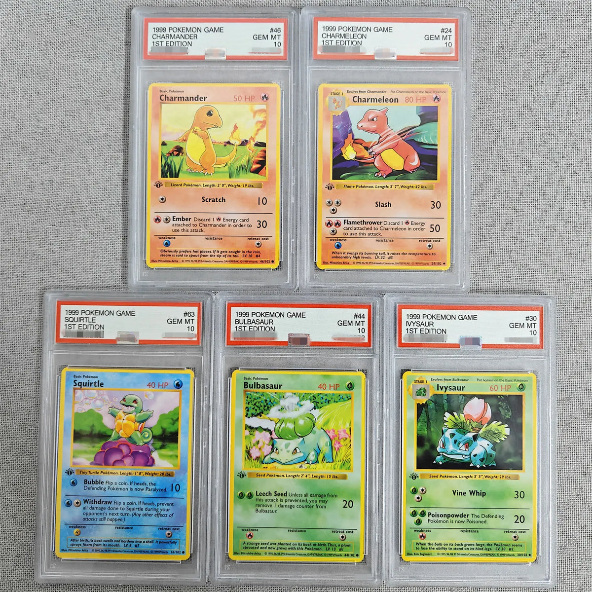 Starter pkm ptcg gem mt 10 proxy slabs
