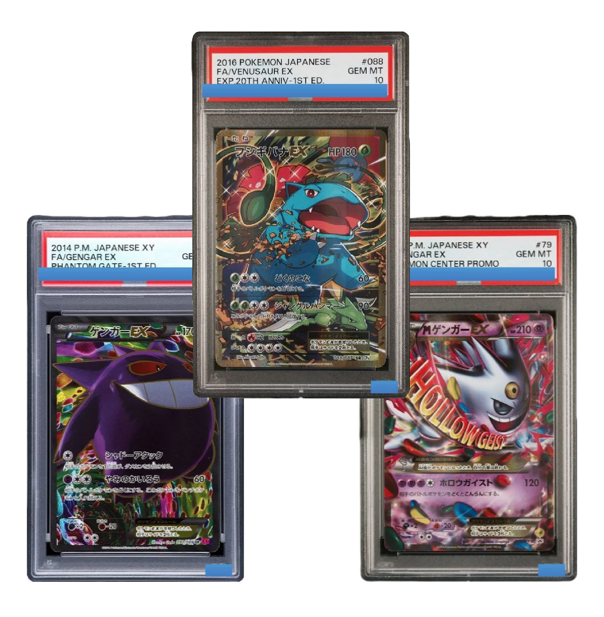 Japanese PTCG Gem 10 Proxy Slabs
